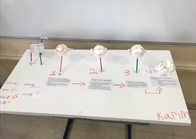 Grade 9 Create their Mitosis Model (6)